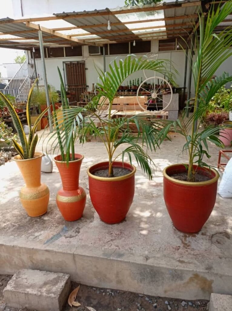 Gold-band floor vases and large red planters holding palms